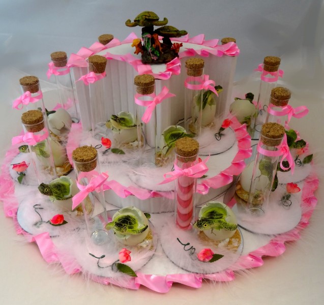 ../Images/plateau bebe tortue rose 2020.jpg